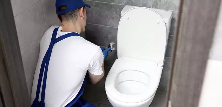 Toilet Lid Replacement in San Tan Valley