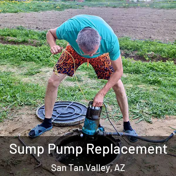  Sump Pump Replacement San Tan Valley, AZ