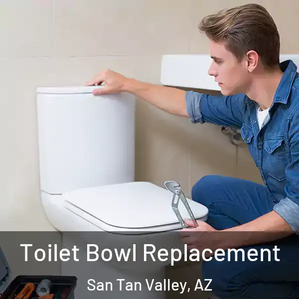  Toilet Bowl Replacement San Tan Valley, AZ