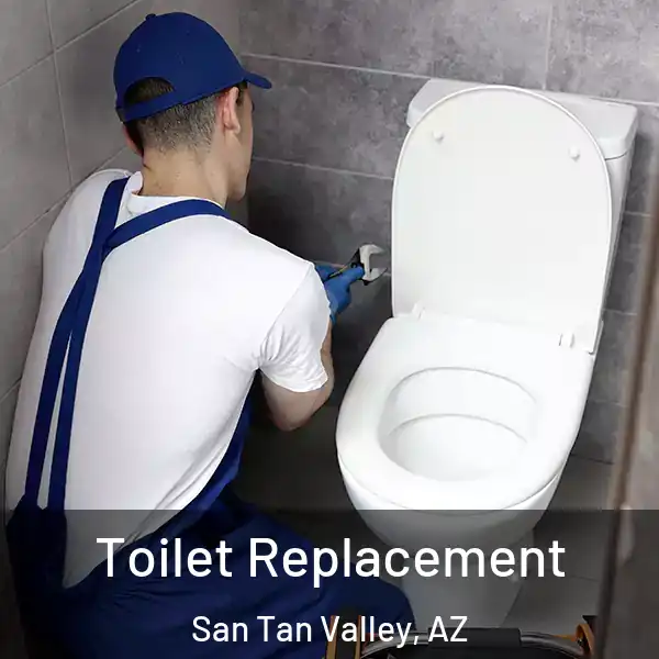  Toilet Replacement San Tan Valley, AZ